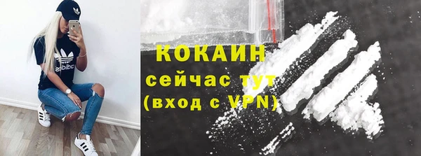хмурый Абаза