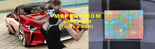 эйфоретик Инта